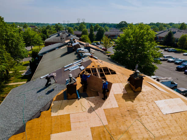 Best Commercial Roofing Services  in Hampton, IL