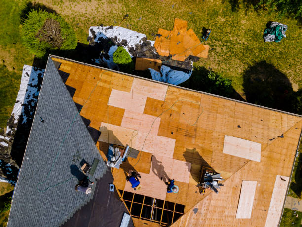 Best Roof Restoration Services  in Hampton, IL