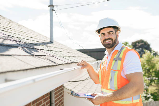 Best Flat Roof Repair Services  in Hampton, IL