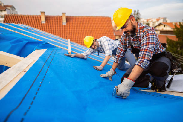 Best Roof Waterproofing Services  in Hampton, IL