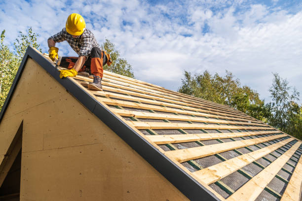 Best Gutter Installation and Roofing  in Hampton, IL