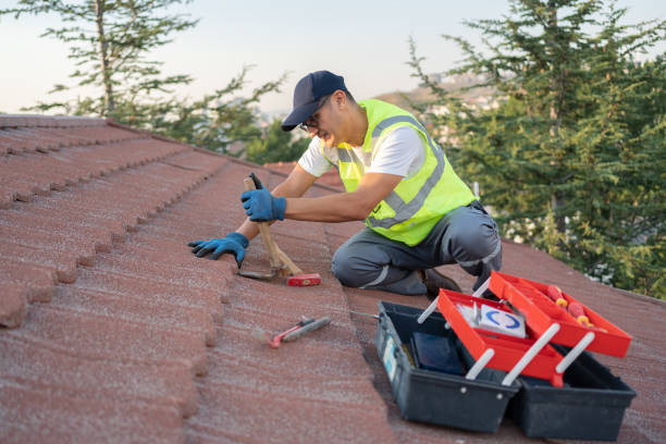 Best New Roof Installation  in Hampton, IL