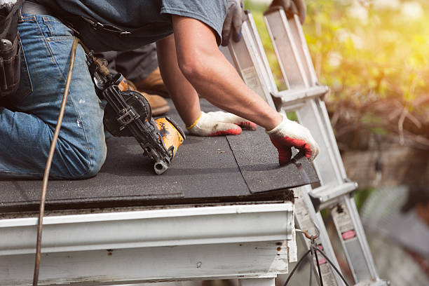 Best Roof Restoration Services  in Hampton, IL