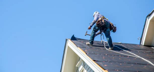 Best Affordable Roofing Company  in Hampton, IL